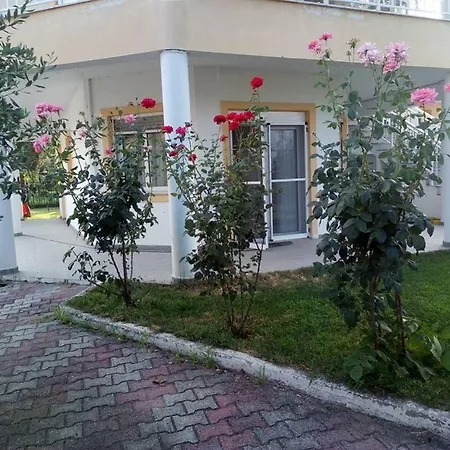 Fotis *