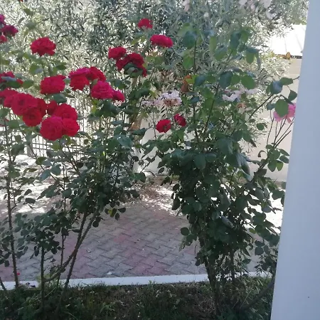 Holiday home Fotis Leptokarya (Pieria)
